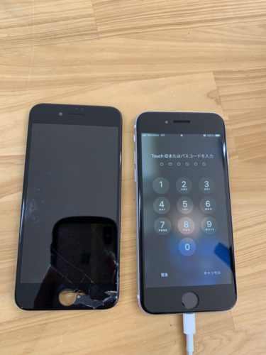 se2-%e6%b6%b2%e6%99%b6%e7%a0%b4%e6%90%8d1%e3%80%80%e9%b6%b4%e3%83%b6%e5%b3%b6%e3%80%8020210317